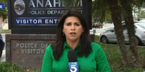 Periodista "grillada" tiene la desfachatez de afirmar que intentó entrevistar a un hombre muerto que "no se encontraba disponible"