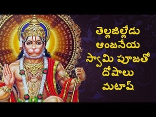 Pooja Lord Hanuman with Thella Jilledu || Webdunia Telugu Religion