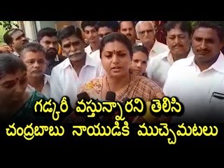 MLA Roja Comments on Chandrababu Naidu over Gadkari Tour