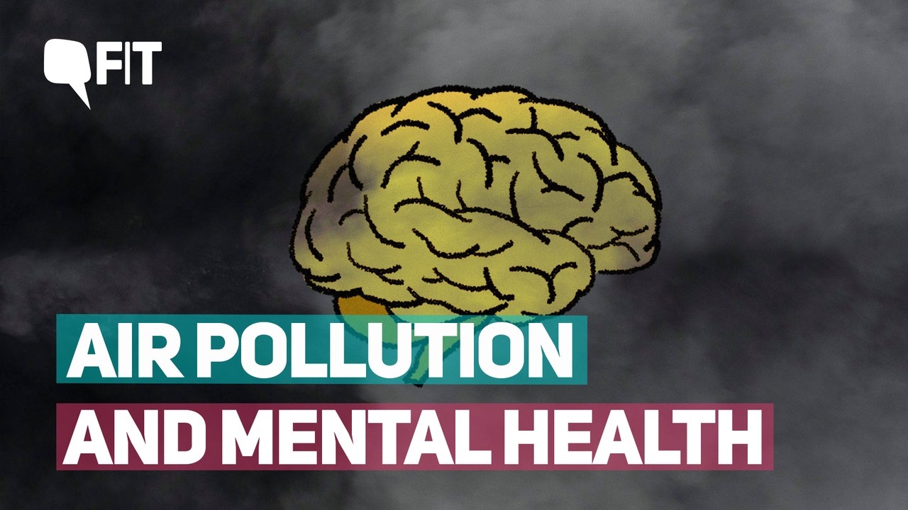 What Is Air Pollution Doing to Our Brains?
