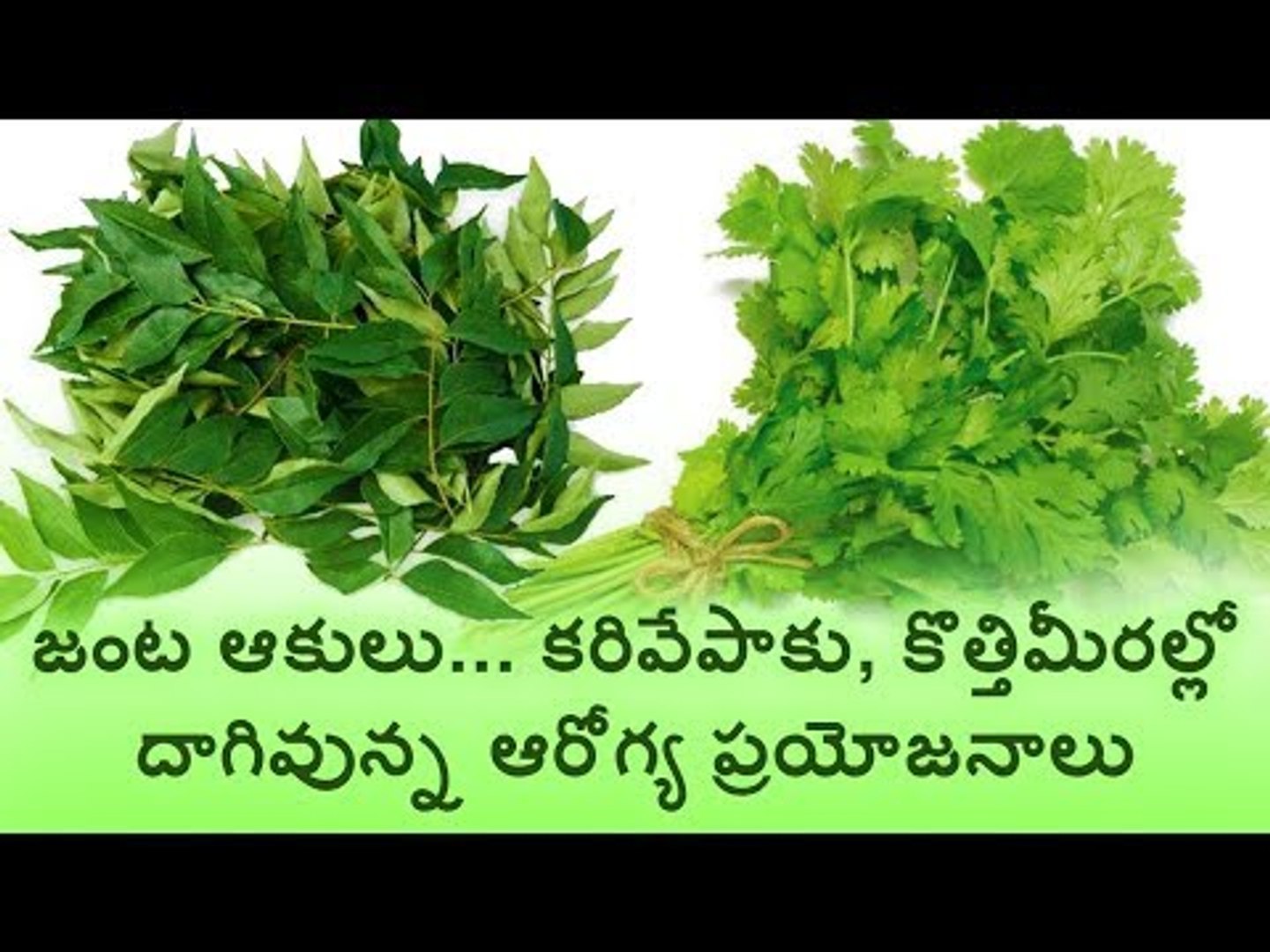 Health Benefits Of Curry Leaves And Coriander Leaves Video