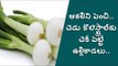 Health benefits of spring onions