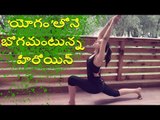 tollywood heroine rakul preet singh yoga practice