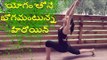 tollywood heroine rakul preet singh yoga practice