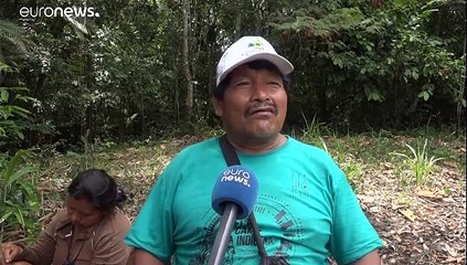 Drones contra la deforestación de la Amazonia