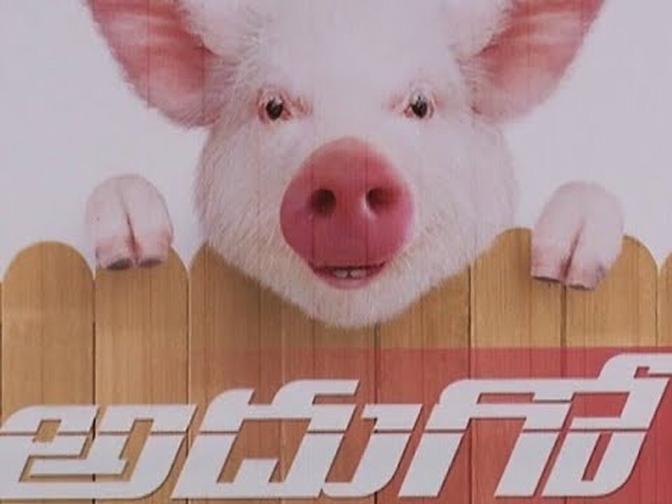 Adhugo Movie trailer launch || Suresh Babu and Ravibabu Speech