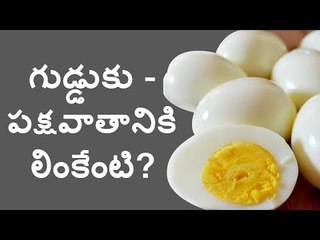 Eggs and Paralysis: What’s the Connection? 🥚🤔