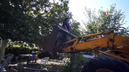 Sarıgöl’de kepçe üzerinde ceviz hasadı