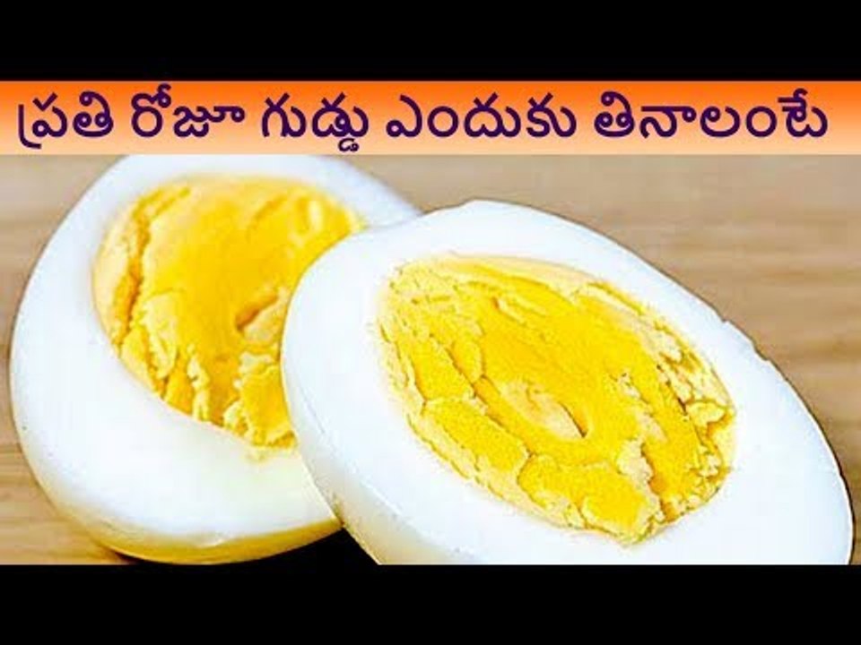 Why eat egg everyday