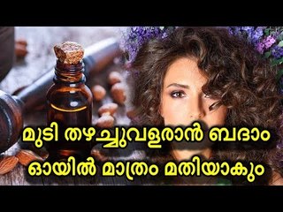 മുടി തഴച്ചുവളരാന്‍ ബദാം ഓയില്‍ മാത്രം മതിയാകും