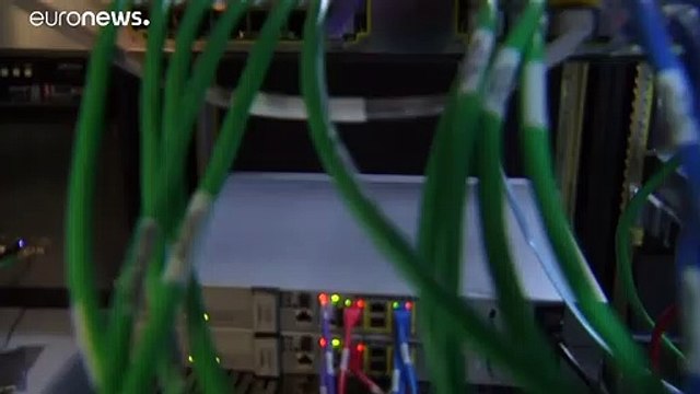 Amazon озаботилась климатом