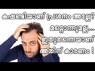 കഷണ്ടിയാണ് പ്രശ്നം അല്ലേ ? മറ്റൊന്നുമല്ല... ഇതുതന്നെയാണ് അതിന് കാരണം !