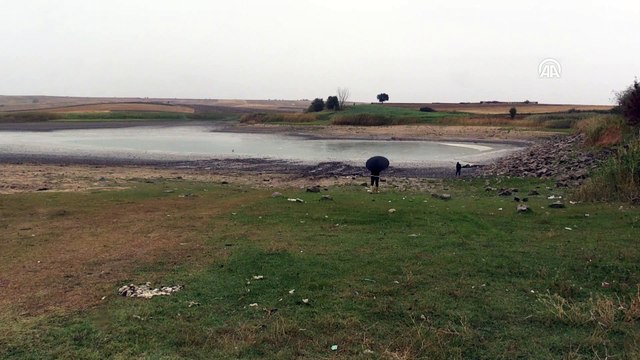 Sağanak, göletteki balıklara 'can suyu' oldu - KIRKLARELİ