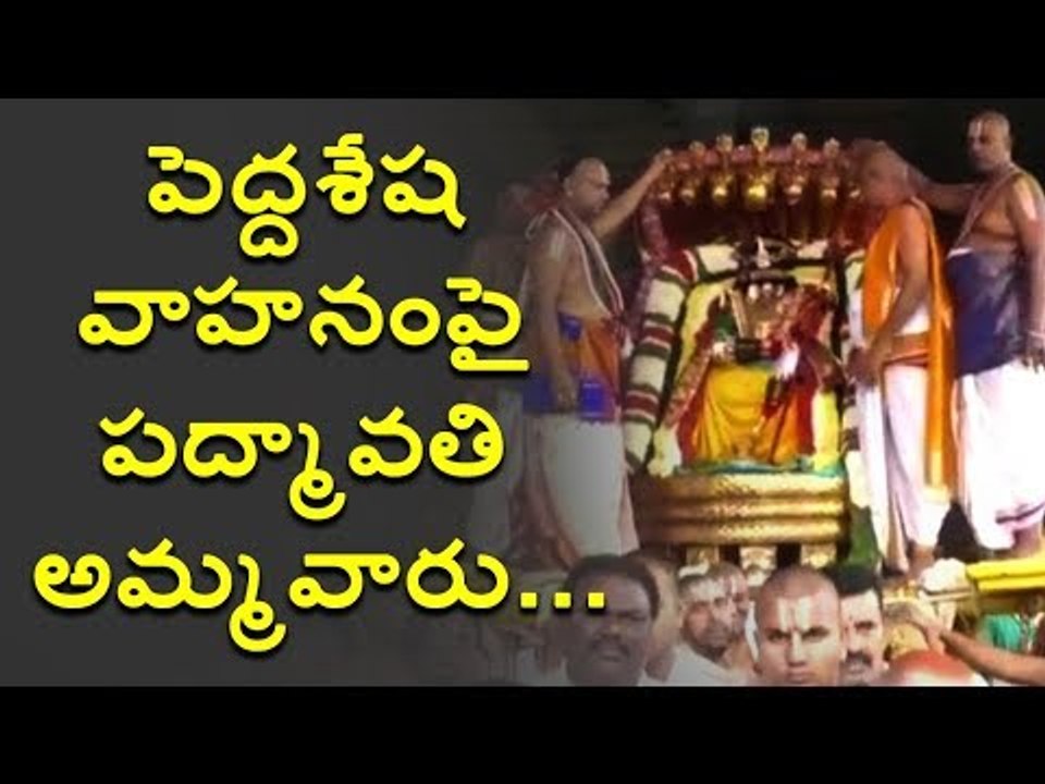 పెద్దశేష వాహనంపై పద్మావతి అమ్మవారు...