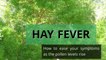 Hay Fever - How to ease your symptoms as the pollen levels rise