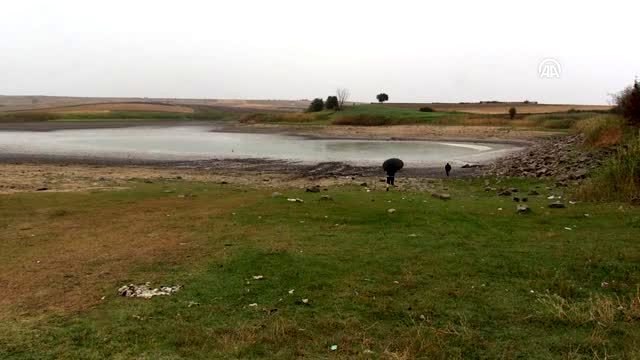 Sağanak, göletteki balıklara can suyu oldu