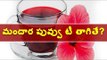 మందార టీ తాగితే ప్రయోజనాలివే || Benefits of hibiscus tea || Webdunia Telugu Health