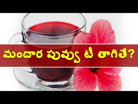 మందార టీ తాగితే ప్రయోజనాలివే || Benefits of hibiscus tea || Webdunia Telugu Health