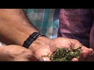 Awareness Program as part of the Anti-Day Celebration