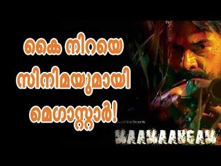 മമ്മൂട്ടി തന്നെ കിംഗ്!