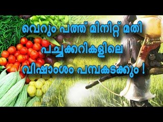 വെറും പത്ത് മിനിറ്റ് മതി, പച്ചക്കറികളിലെ വിഷാംശം പമ്പകടക്കും !