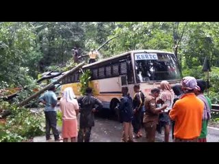 coorg: Dense rain in the district, roads blocked