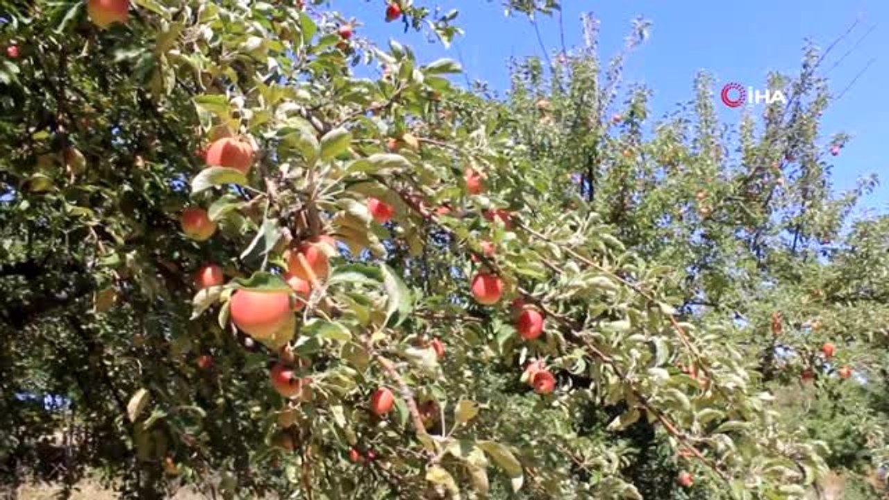 Meslek Lisesi öğrencileri, önce üretiyor sonra satıyor