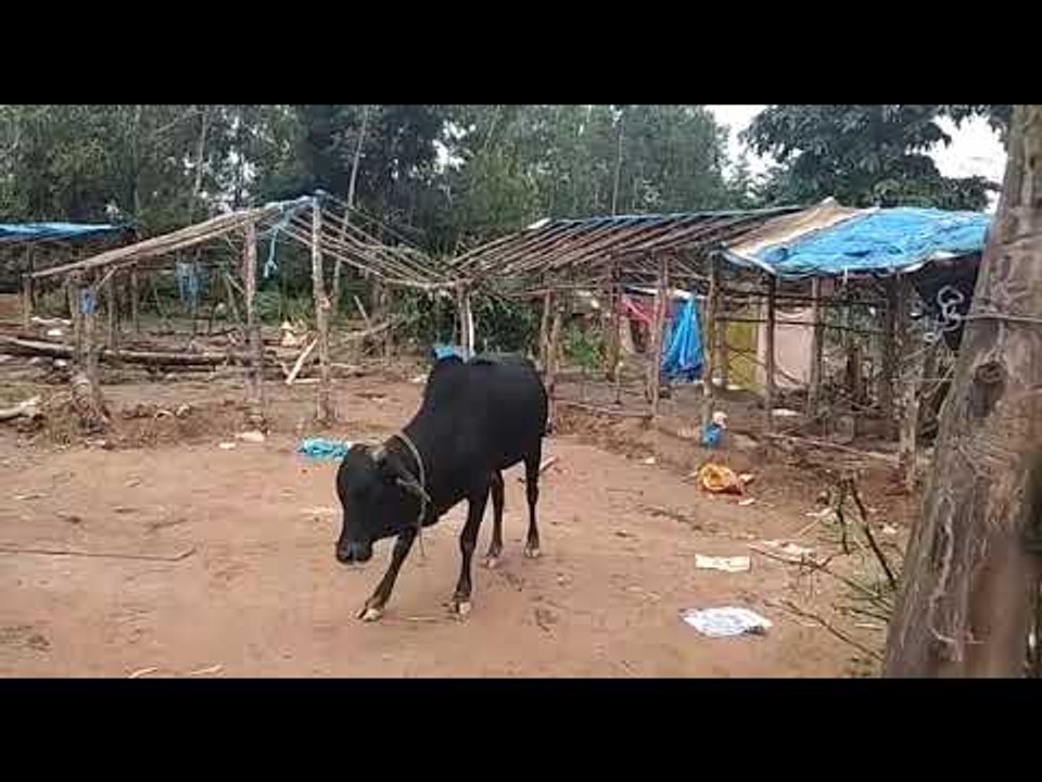 ಚಂದ್ರಗ್ರಹಣಕ್ಕೆ ಹೆದರಿ ಗ್ರಾಮ ತೊರೆದ ಗ್ರಾಮಸ್ಥರು