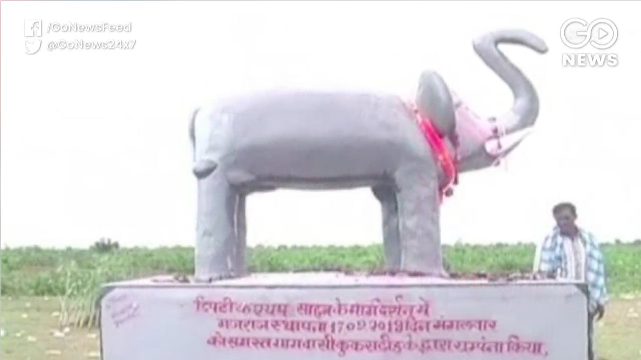 Elephants Become Headache For Chhattisgarh Villagers