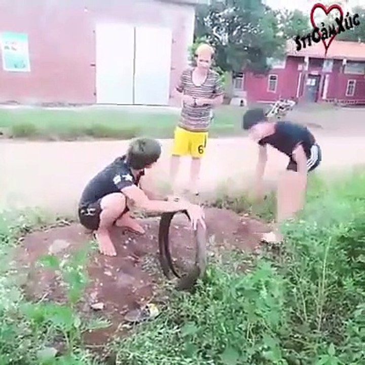 10000000_356890145190875_2528510490548633600_n