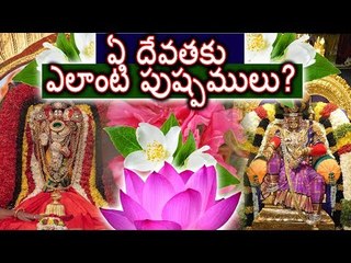 Download Video: Divine Flowers Which Are Favorites Of Hindu Gods || Webdunia Telugu