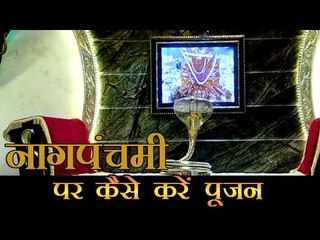 कैसे करें नागदेवता की पूजा : Nag Panchami Puja Procedure