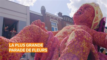 Cette parade néerlandaise met les fleurs à l’honneur