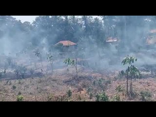 ದಕ್ಷಿಣ ಕನ್ನಡ ಜಿಲ್ಲೆಯ ಕಡಬ ತಾಲೂಕಿನ ಸುಂಕದಕಟ್ಟೆ ಗ್ರಾಮದ ಅರಣ್ಯದಲ್ಲಿ ಬೆಂಕಿ…