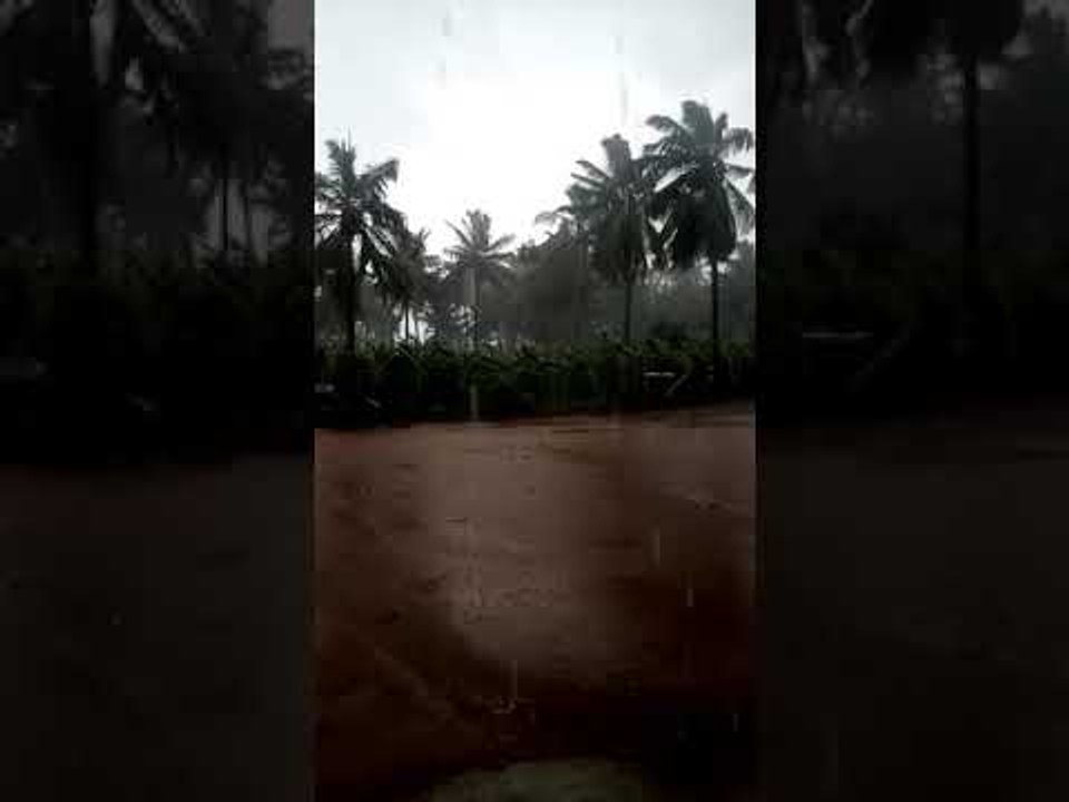 ಚಾಮರಾಜನಗರದಲ್ಲಿ ಬಿರುಗಾಳಿ ಸಹಿತ ಭಾರಿ ಮಳೆ