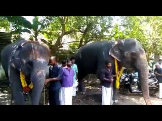 സുഖചികിത്സയ്ക്ക് ശേഷം ദര്‍ശനയും സുദര്‍ശനയും!