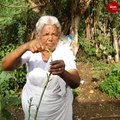 This 82-year-old in Coimbatore is distributing seeds to residents of her village, here's why