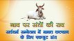 गाय पर संतों की राय  : 3rd International Dharma-Dhamma Conf at Indore