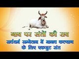 गाय पर संतों की राय  : 3rd International Dharma-Dhamma Conf at Indore