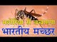 भारत का मच्छर रोकेगा मलेरिया : Mutant Mosquitoes 'Resist Malaria'