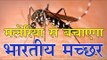 भारत का मच्छर रोकेगा मलेरिया : Mutant Mosquitoes 'Resist Malaria'