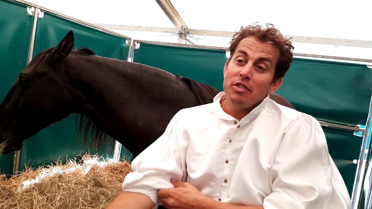 Lorenzo, roi de la poste hongroise