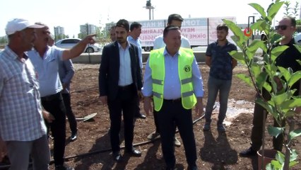 Türkiye’de bir ilk: Sitelere meyve ağacı ekme zorunluluğu getiriliyor