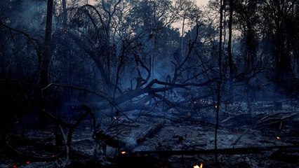 Más de cuatro millones de hectáreas quemadas en Bolivia