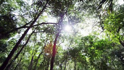 Finding the Largest Lost Pyramid in the World (History Documentary)
