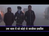उत्तर भारत में घने कोहरे से जनजीवन प्रभावित Dense fog engulfs north India