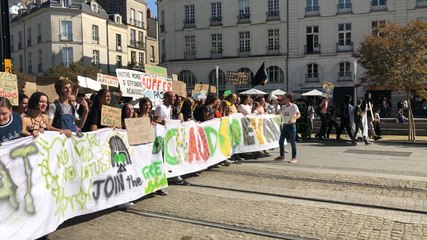 Troisième grève mondiale pour le climat à Nantes