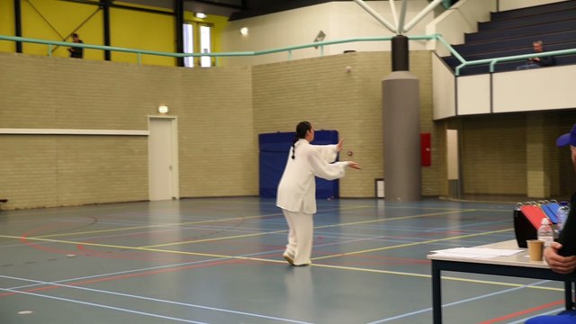 Tai Chi form by Laura Bonthuis Chen Shaolin Xinjia Martial Arts