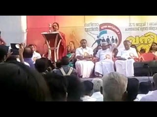 വനിത മതിലിനു കൈകോർത്ത് വ്രന്ദ കാരാട്ട്