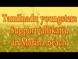 Tamilnadu youngsters Support jallikattu in Merina Beech